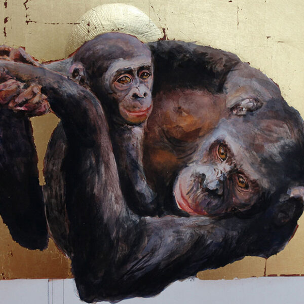 Bonobo Icone Series