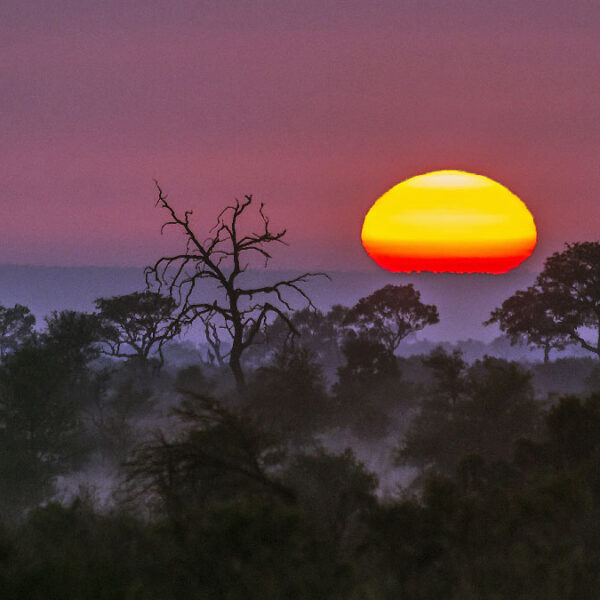 coucher de soleil savane africaine