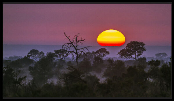 coucher de soleil savane africaine