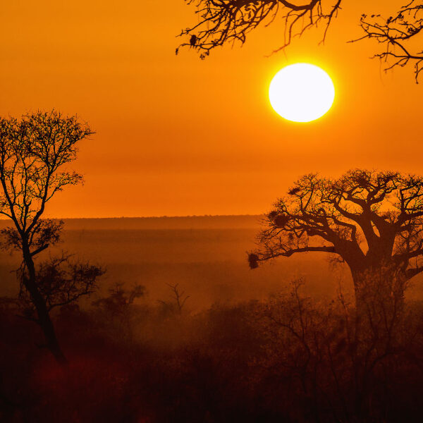 coucher de soleil Afrique
