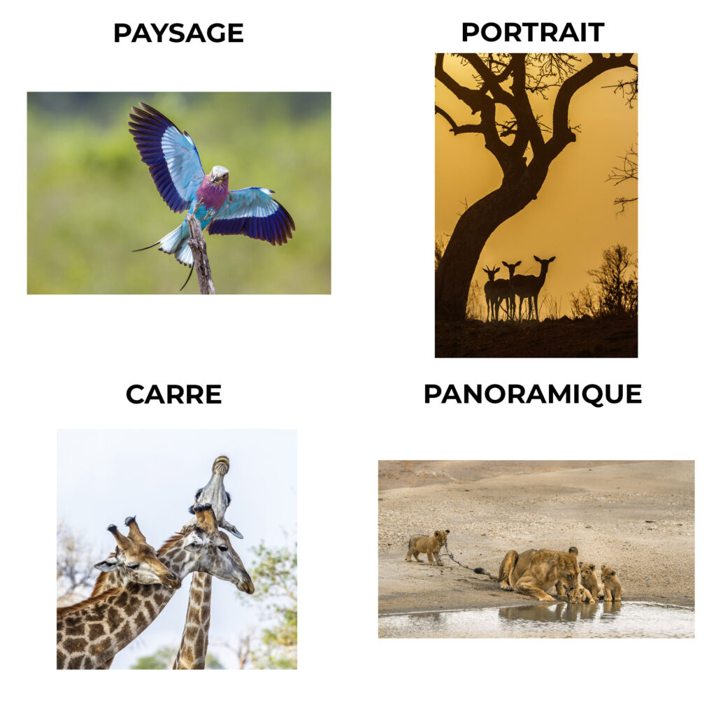 Qualité de nos images