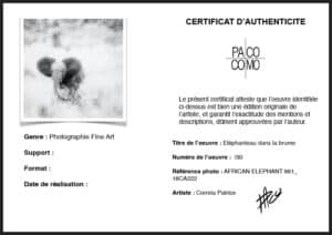 Certificat authenticité